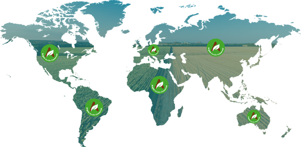 Imagen de Presencia Global Arges